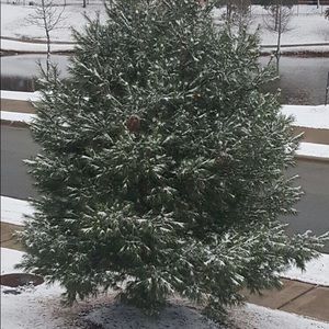 Meet your Posher, Smitha